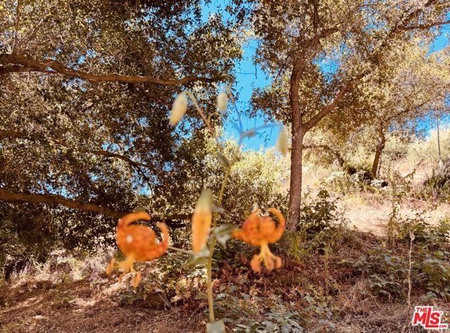 0 Red Rock Road, Topanga (los Angeles), CA 90290