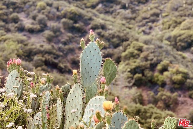 0 Red Rock Road, Topanga (los Angeles), CA 90290