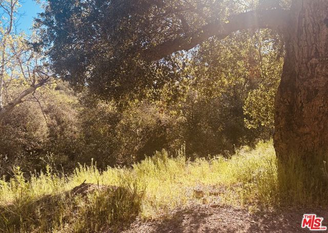 0 Red Rock Road, Topanga (los Angeles), CA 90290