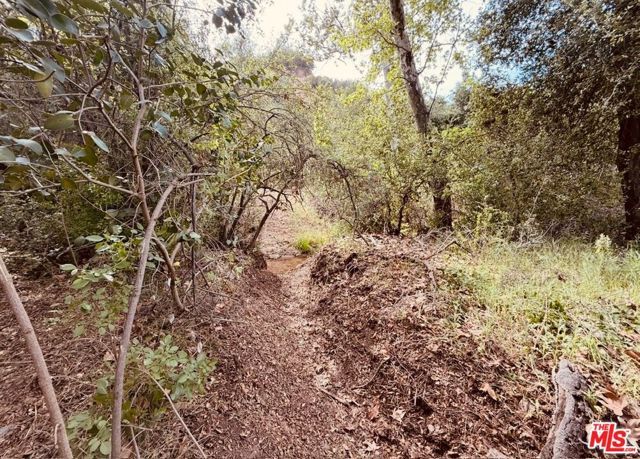 0 Red Rock Road, Topanga (los Angeles), CA 90290