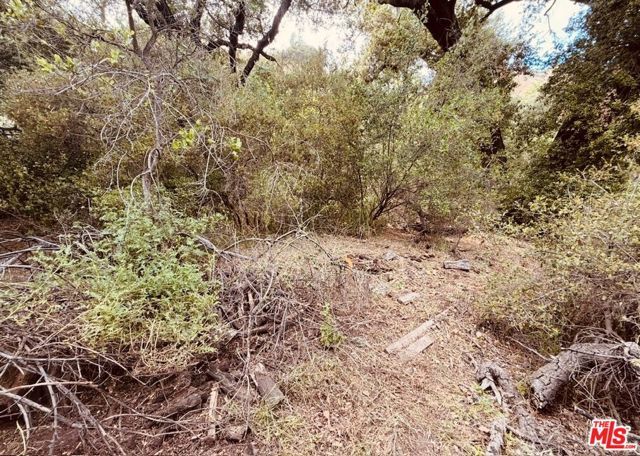 0 Red Rock Road, Topanga (los Angeles), CA 90290