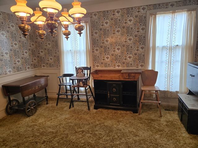 1663 E Rietveld Drive, Crete, IL 60417