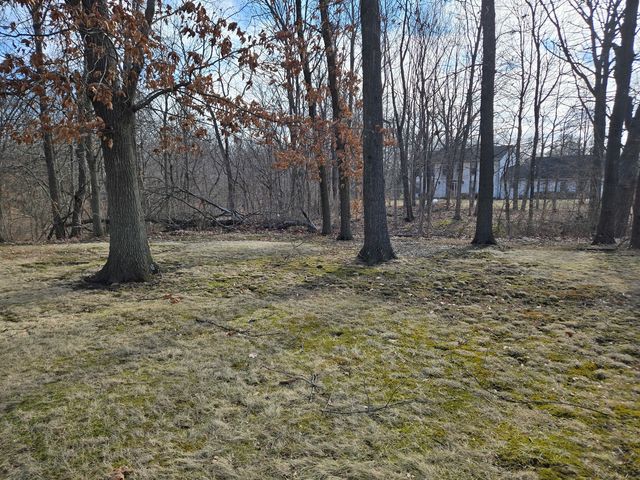 1663 E Rietveld Drive, Crete, IL 60417