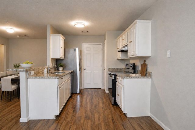 28714 Leon River Court, Spring, TX 77386