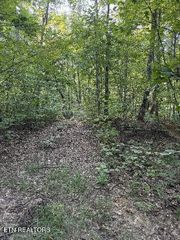 125 Gill Burgess Rd, Oliver Springs, TN 37840