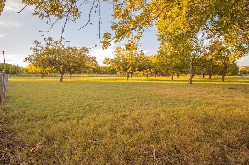 317 Shady Brook Lane, Cedar Hill, TX 75104 — photo 3