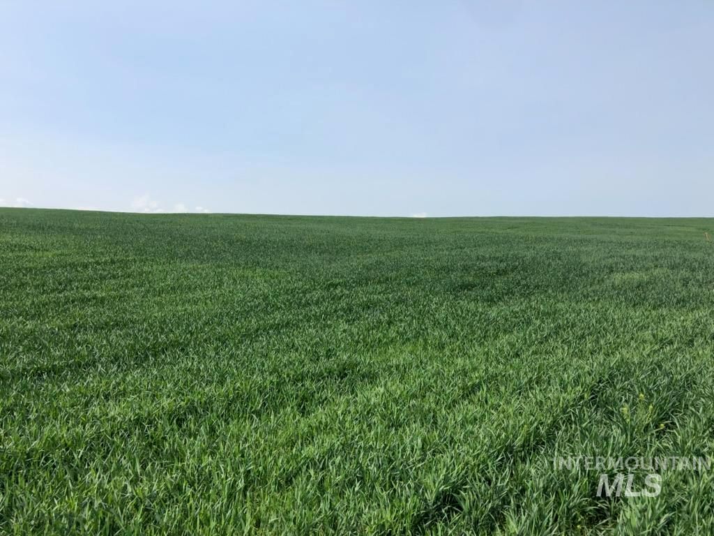 6451 Little Freezeout Rd, Caldwell, ID 83607 photo 27