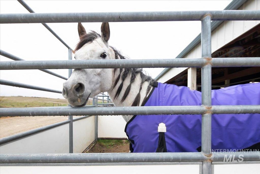 6451 Little Freezeout Rd, Caldwell, ID 83607 photo 30