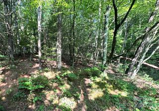 17 Tara Drive, Asheville, NC 28806