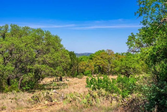 853 Elm Ridge, Fredericksburg, TX 78624