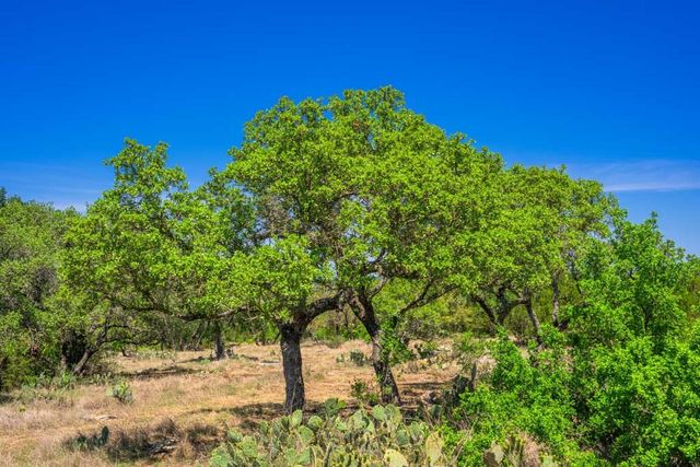 853 Elm Ridge, Fredericksburg, TX 78624