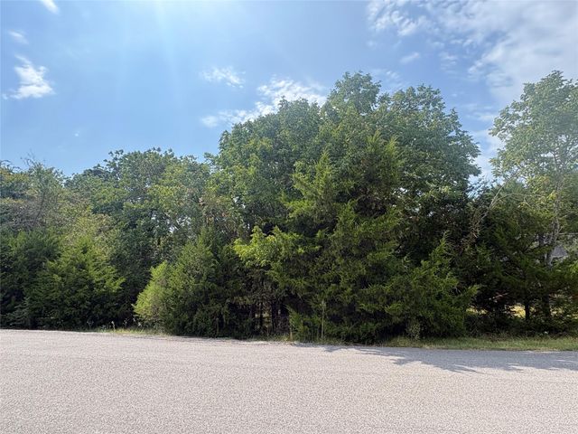 23 N Pine Harbour Drive, Coldspring, TX 77331
