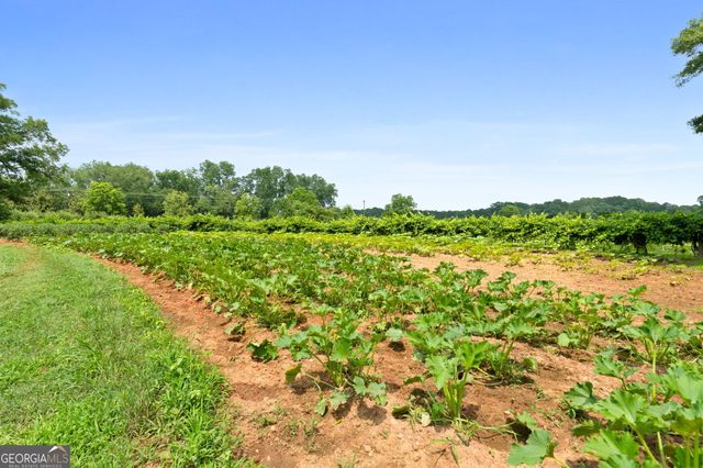 2037 Jeff Davis Road, Thomaston, GA 30286