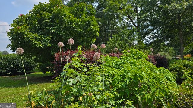 2037 Jeff Davis Road, Thomaston, GA 30286