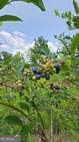 2037 Jeff Davis Road, Thomaston, GA 30286