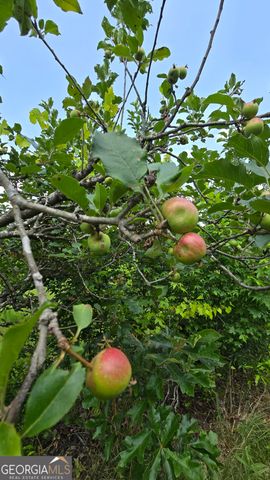 2037 Jeff Davis Road, Thomaston, GA 30286