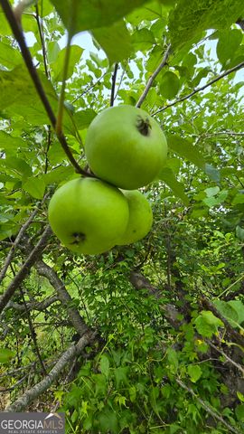 2037 Jeff Davis Road, Thomaston, GA 30286