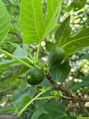 2037 Jeff Davis Road, Thomaston, GA 30286