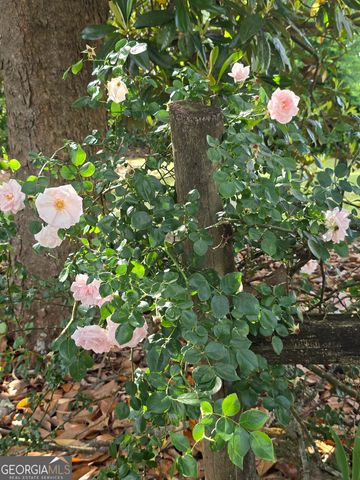 2037 Jeff Davis Road, Thomaston, GA 30286