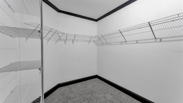 3202 MAGNOLIA GARDEN DRIVE, Plant City, FL 33567