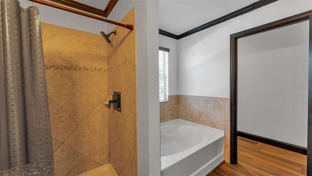 3202 MAGNOLIA GARDEN DRIVE, Plant City, FL 33567