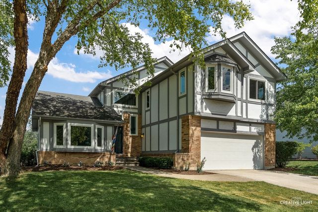 217 CORTEZ Court, Naperville, IL 60563