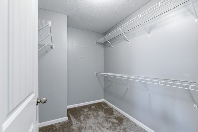 1613 Sprucedale Dr, Antioch, TN 37013