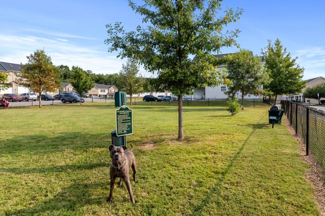 1613 Sprucedale Dr, Antioch, TN 37013