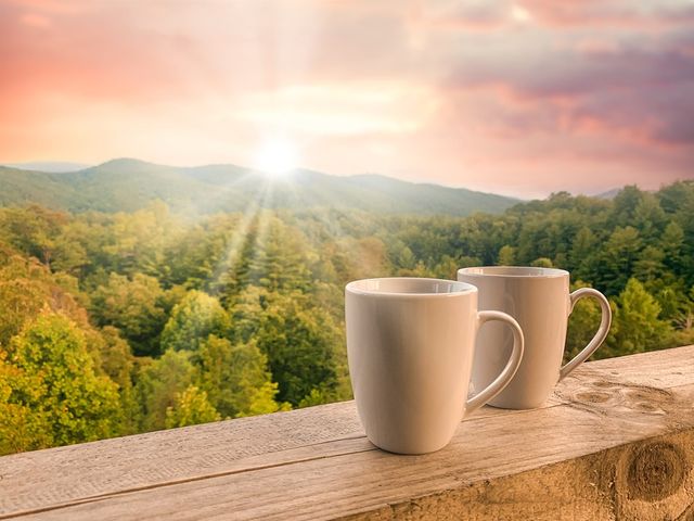 45 Eagle Watch Court, Blue Ridge, GA 30513