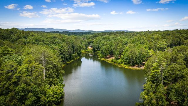 363 Pinnacle Drive, Ellijay, GA 30540