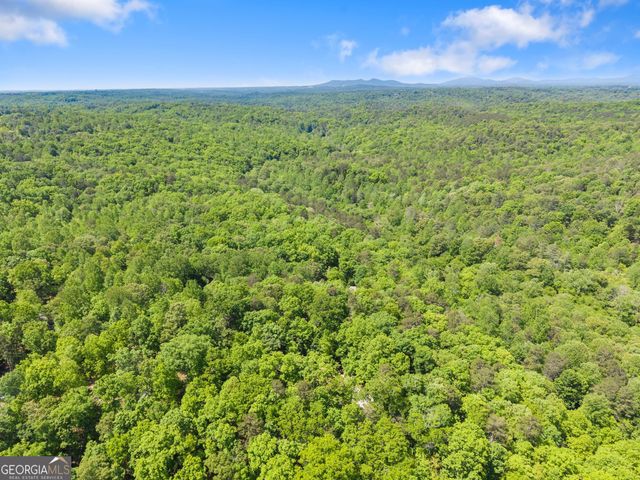 136 Twisting Ridge Trail, Demorest, GA 30535