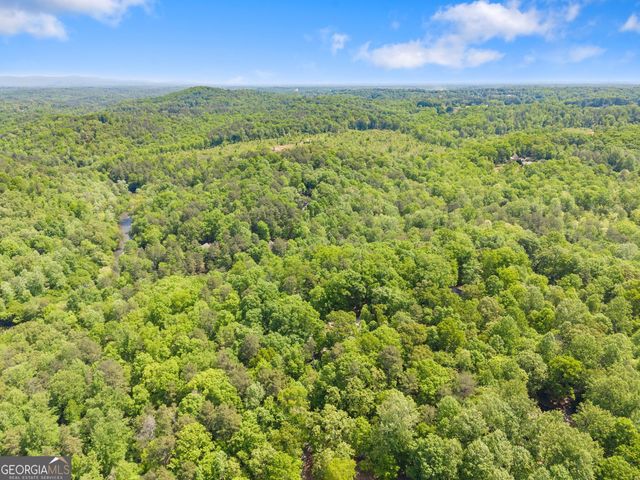 136 Twisting Ridge Trail, Demorest, GA 30535
