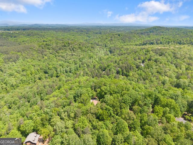 136 Twisting Ridge Trail, Demorest, GA 30535