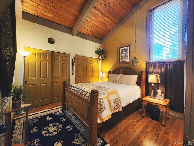 1702 Clear Creek Drive, Georgetown, CO 80444