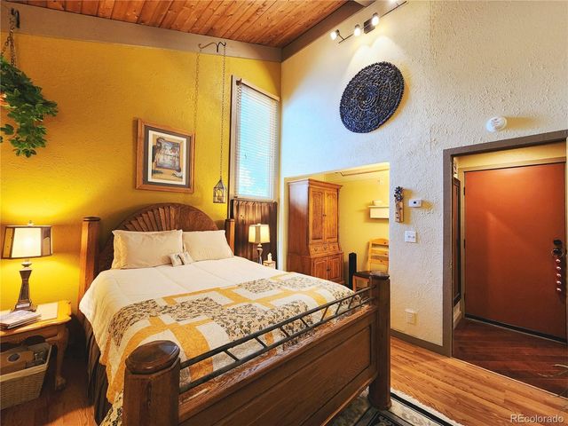 1702 Clear Creek Drive, Georgetown, CO 80444