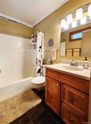 1702 Clear Creek Drive, Georgetown, CO 80444