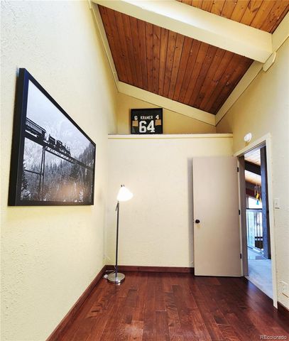 1702 Clear Creek Drive, Georgetown, CO 80444