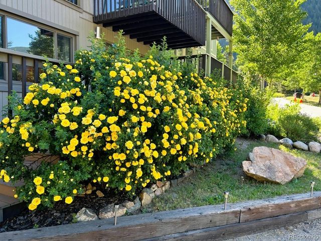 1702 Clear Creek Drive, Georgetown, CO 80444