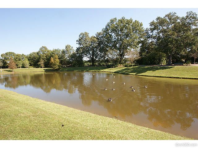 400 Hydrangea Street, Summerville, SC 29483
