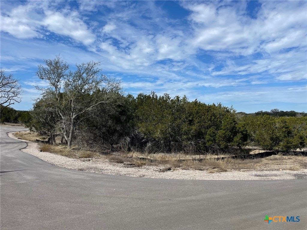 Image 4 of property listing at Lot 17 Edwards Court, Bertram, TX 78605