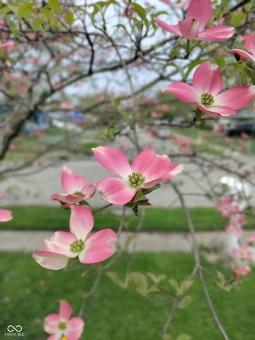 5219 N Sadlier Drive, Indianapolis, IN 46226