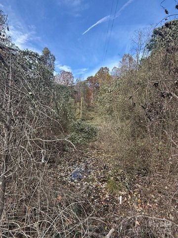 200 Little Wings Mountain Road, Columbus, NC 28722