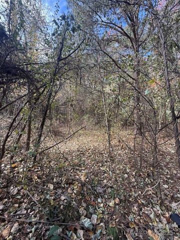 200 Little Wings Mountain Road, Columbus, NC 28722