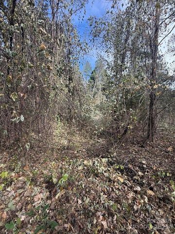 200 Little Wings Mountain Road, Columbus, NC 28722