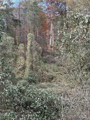 200 Little Wings Mountain Road, Columbus, NC 28722