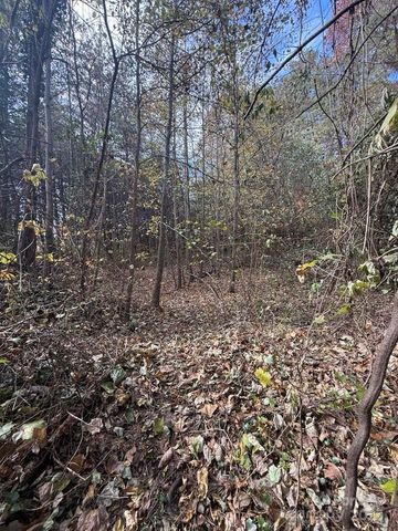 200 Little Wings Mountain Road, Columbus, NC 28722