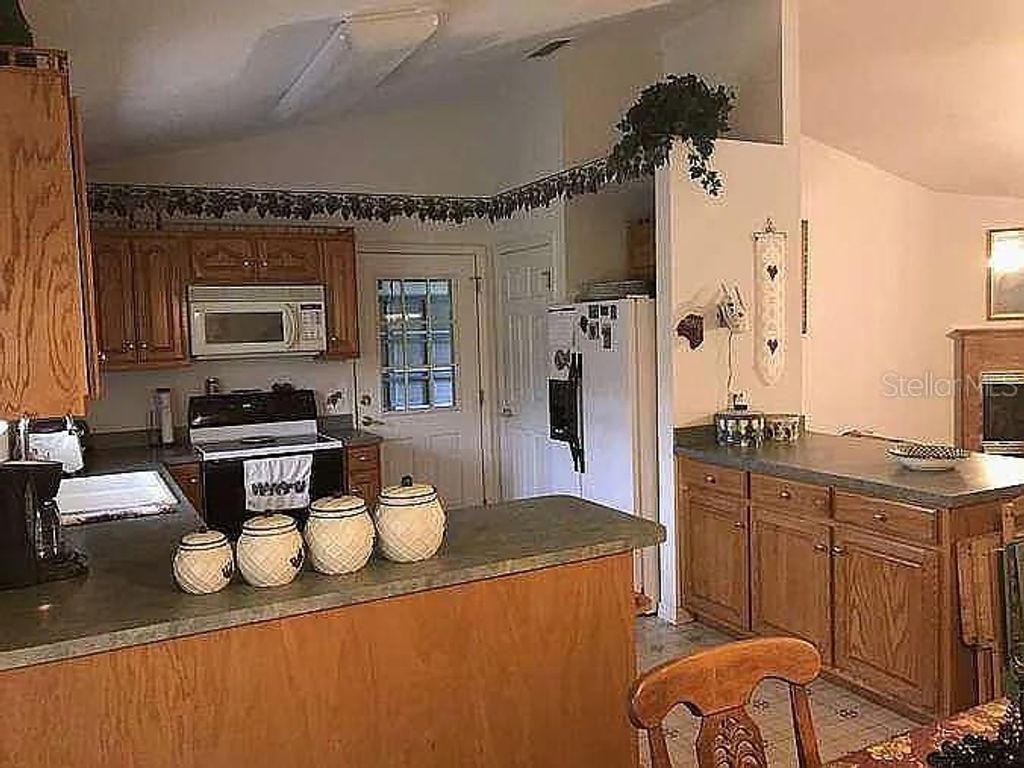 Image 8 of property listing at 363 SW MONROE AVENUE, Mayo, FL 32066