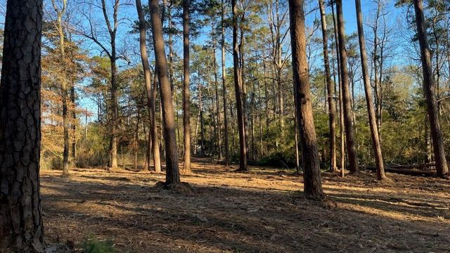 0 Monroe Drive, Livingston, TX 77351