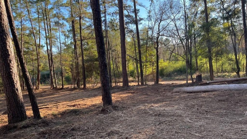 0 Monroe Drive, Livingston, TX 77351