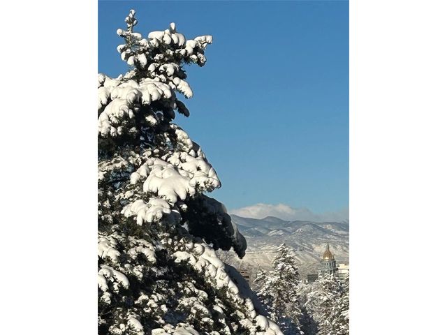 1111 Race St 4B, Denver, CO 80206